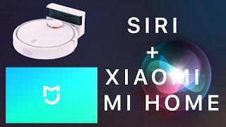 Управление смарт-устройствами Xiaomi с помощью голосового помощника Siri