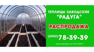 теплицы сезонная распродажа