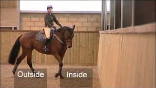 Flatwork Training for Showjumping