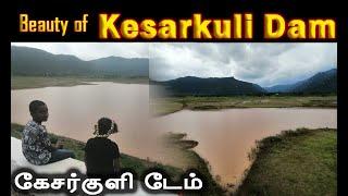 DAM VLOG | DAM VISIT | KESARKULI DAM | VLOG | கேசர்குளி அணை #DAM #DAMVISIT #KESARKULI #VLOG #DIML