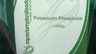 Treat Green Spot Algae with Potassium Phosphate (Blog Spot #2)