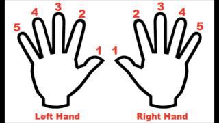 Piano Fingering Number System - Beginner Lesson