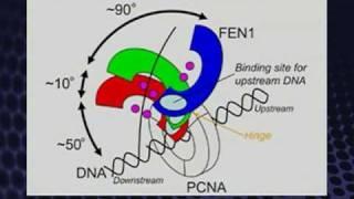 NAIST Information Science - Labs 2009 (22/26) (En) Structural Biology Lab