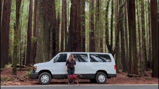 Living in my van | Amazed in the redwoods | zucchini and meatball marinara #vanlife