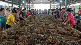 The Giant Seafood Bathynomus Giganteus King Crab Lobster Dishes In Asia Seafood Collection 2025