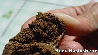 Meet Hashishene - Newly Discovered Cannabis Terpene