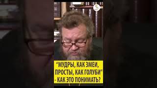 МУДРЫ КАК ЗМЕИ , ПРОСТЫ КАК ГОЛУБЫ КАК ЭТО ПОНИМАТЬ ? Священник Олег Стеняев