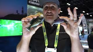 Savage Gear 3D Bluegill RTF - New Colors at ICAST 2021