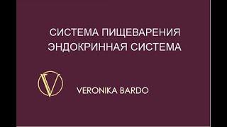 Система пищеварения, эндокринная система. Энергетическая чистка онлайн