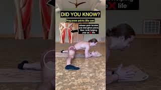 Frog pose pelvic tilts benefits  #frogpose #frogposebenefits #frogposeyoga #yogabenefits #shorts