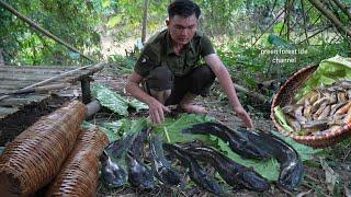 Great fishing for food on flood days. Robert | Green forest life