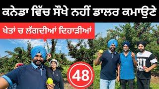 ਟੋਰਾਂਟੋ ਚ ਸੇਬਾਂ ਦੀ ਖੇਤੀ ਕਰਦੇ ਪੰਜਾਬੀ ਪਰਿਵਾਰ Apple Farm Canada | Punjabi Travel Couple | Ripan Khushi