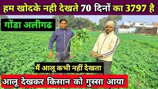 हमने कभी आलू नहीं खोदा  गोंडा 'अलीगढ से Ground Reporting  real farmer education | aalu