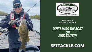 How To Fish a Jerkbait and Catch More Bass – Don’t miss the boat on Jerkbaits – SFTtackle.com