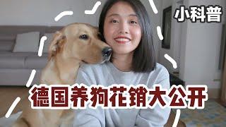 养狗花销大公开+常识科普 | 国内外养狗大不同 聊德国狗税 狗狗护照 狗狗学校 宠物医院收费 狂犬疫苗