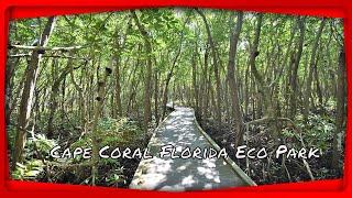 Cape Coral Florida Eco Park. Find one of southwest Florida's most beautiful nature park