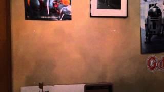 SIG FIG WALL!!!!!