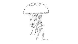 How to Draw a Jellyfish / Как нарисовать медузу