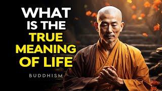 What is The Life's True Meaning ️ | Buddhism | Buddhist Teachings