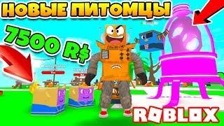 СИМУЛЯТОР ПИТОМЦЕВ 2.0! ПИТОМЕЦ ЗА 7500 РОБУКСОВ! НОВЫЕ ПИТОМЦЫ ROBLOX SIMULATOR