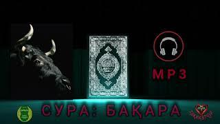 Сураи Бақара.(бидуни оятҳо) танҳо тарҷумаи тоҷикӣ.