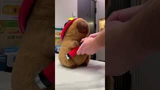 I officially declare that from today, Capybara is a Brave firefighters! #capybara  #firefighter