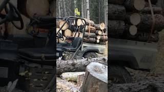CHINESE SIDE BY SIDE READY FOR HIRE #hisun #loggingtruck #logging #loggerlegends #loggerlife #utv