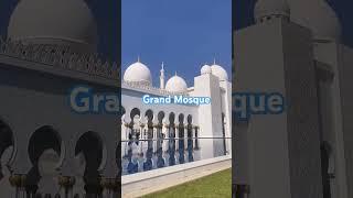 Grand Mosque in Abu Dhabi #amazing #mosque #grandmosqueabudhabi #viralvideo #shorts #abudhabi