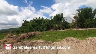 200 SQM Subdivided Farm Lot in San Felipe, Zambales