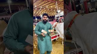  #syedfahad