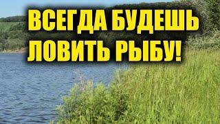 Вы всегда будете ловить рыбу зная эти простые правила и секреты ловли рыбы. Секреты рыбалки