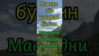 Мавлуд ойи