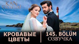 Кровавые цветы 145 серия на русском языке. Новый турецкий сериал