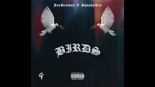 BIRDS! - Jay Drowsy X SpookyLeo (prod. luckybennu & INM)