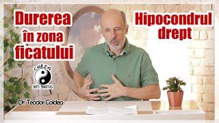 Durerea în zona ficatului - Hipocondrul drept - Dr.Teodor Coldea - Calea Yin Yang