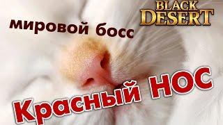 Black Desert (RU) Красный нос (мировой босс)