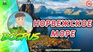 ПАЛТУС ТРОФЕЙНорвежское мореПрокачиваем оснастки76%Русская рыбалка 418+