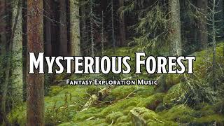 Mysterious Forest | D&D/TTRPG Music | 1 Hour