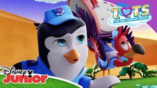 Magical moment | ‍‍ T.O.T.S. | Disney Junior