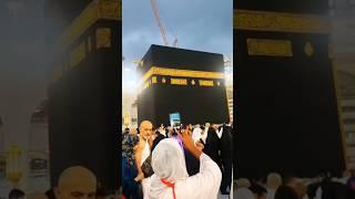 I love madina#shortsvideo #shortsfeed #shortvideo #islamic #islam