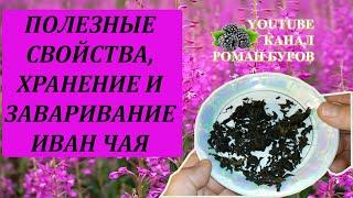 Полезные свойства ИВАН ЧАЯ. Как хранить иван чай. Как пить иван чай. Копорский чай. Кипрей.