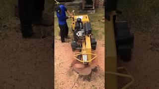 Stump Grinder