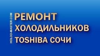 Ремонт холодильников Тошиба в Сочи