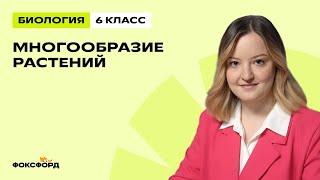 Многообразие растений | Биология 6 класс | Домашняя школа Фоксфорда