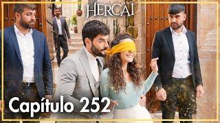 Hercai - Capítulo 252