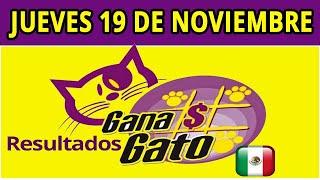 Resultado del Sorteo Gana Gato del 19 de Noviembre del 2020