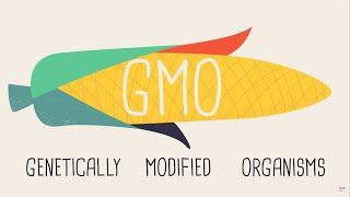 Artificial Genetic Manipulation: The Evolution of Genetically Modified Organisms Selective Breeding