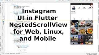 Instagram UI Clone example with NestedScrollView in Flutter