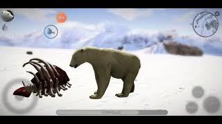 Becoming a winter hunter!|ultimate polar bear simulator 2|#1