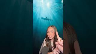 Sharks are older than most things on Earth… #space #astronomy #science #earth #shorts